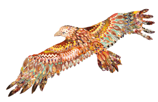 eagle_transparent