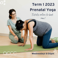 Term 1 2023 Prenatal Yoga 1